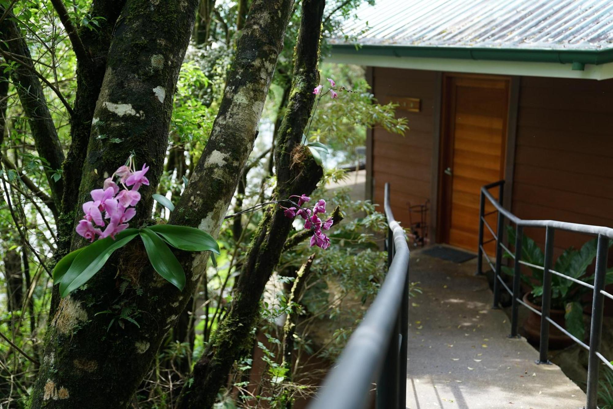 Koora Monteverde A Cloud Forest Hotel By Sandglass Extérieur photo